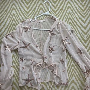 Pink Shimmer Sheer Top